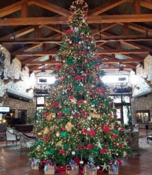 Y O Ranch Hotel And Conference Center Kerrville Værelse billede